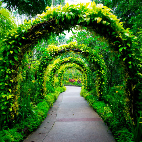 Art principles of landscape